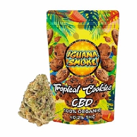 Tropical Cookies CBD > Iguana Smoke